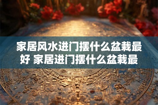 家居风水进门摆什么盆栽最好 家居进门摆什么盆栽最好
