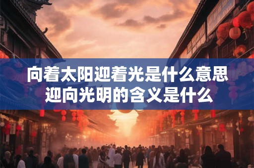 向着太阳迎着光是什么意思 迎向光明的含义是什么