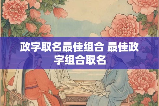 政字取名最佳组合 最佳政字组合取名