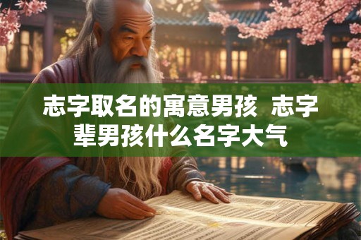 志字取名的寓意男孩  志字辈男孩什么名字大气