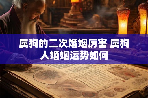 属狗的二次婚姻厉害 属狗人婚姻运势如何