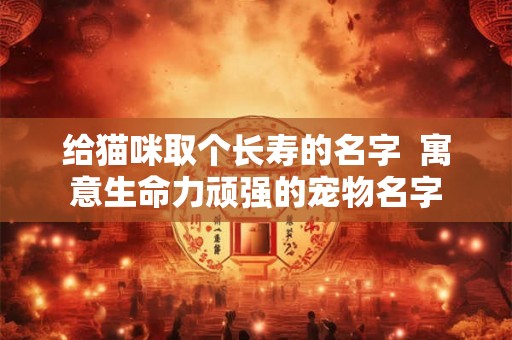 给猫咪取个长寿的名字  寓意生命力顽强的宠物名字