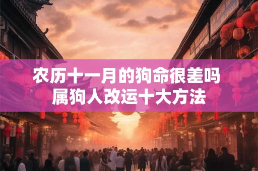 农历十一月的狗命很差吗 属狗人改运十大方法