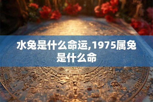 水兔是什么命运,1975属兔是什么命