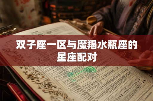 双子座一区与魔羯水瓶座的星座配对