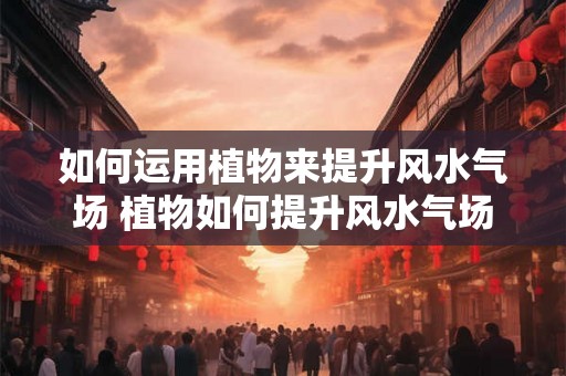如何运用植物来提升风水气场 植物如何提升风水气场