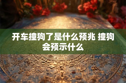 开车撞狗了是什么预兆 撞狗会预示什么