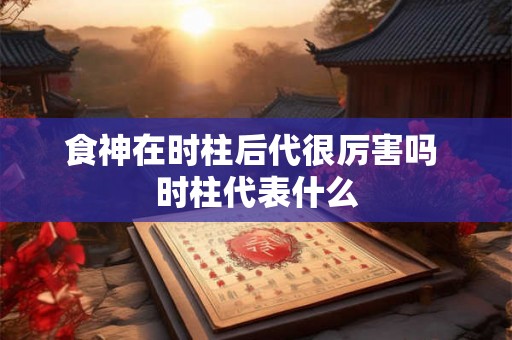 食神在时柱后代很厉害吗 时柱代表什么