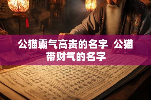 公猫霸气高贵的名字  公猫带财气的名字