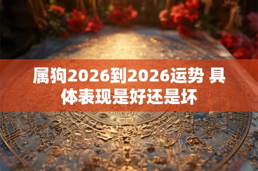 属狗2026到2026运势 具体表现是好还是坏