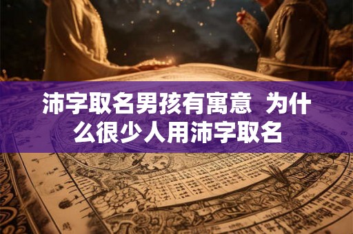 沛字取名男孩有寓意 为什么很少人用沛字取名 沛字取名男孩有寓意 为什么很少人用沛字取名