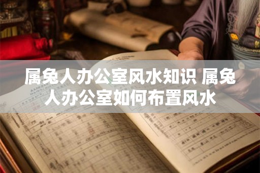 属兔人办公室风水知识 属兔人办公室如何布置风水