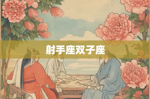 射手座双子座 射手座双子座