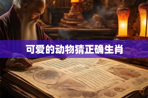可爱的动物猜正确生肖