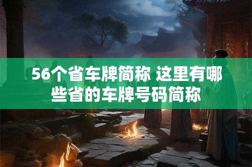 56个省车牌简称 这里有哪些省的车牌号码简称