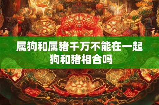 属狗和属猪千万不能在一起 狗和猪相合吗