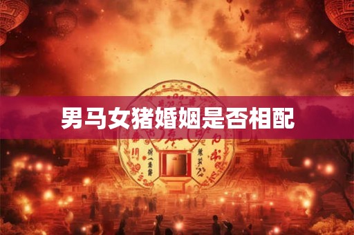 男马女猪婚姻是否相配