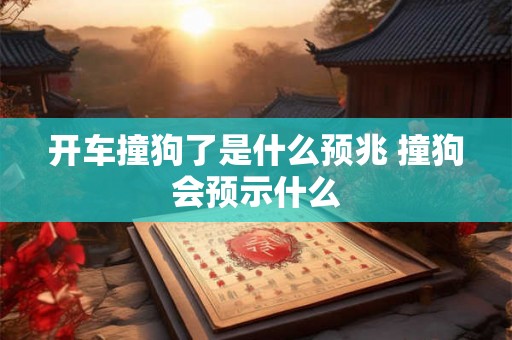 开车撞狗了是什么预兆 撞狗会预示什么