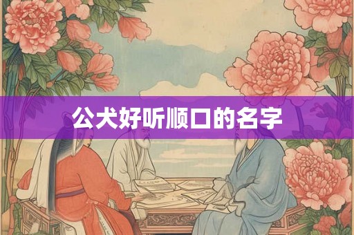 公犬好听顺口的名字