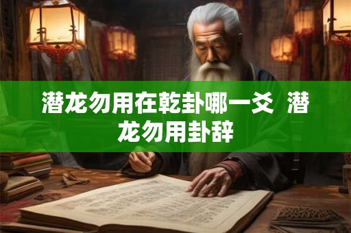 潜龙勿用在乾卦哪一爻 潜龙勿用卦辞 潜龙勿用在乾卦哪一爻 潜龙勿用卦辞