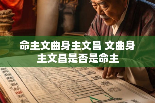 命主文曲身主文昌 文曲身主文昌是否是命主