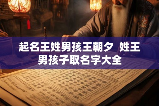 起名王姓男孩王朝夕  姓王男孩子取名字大全