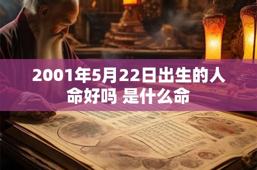 2001年5月22日出生的人命好吗 是什么命 2001年5月22日出生的人命好吗 是什么命
