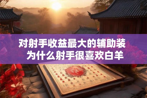 对射手收益最大的辅助装  为什么射手很喜欢白羊