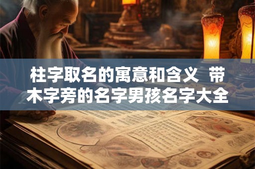 柱字取名的寓意和含义  带木字旁的名字男孩名字大全