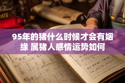 95年的猪什么时候才会有姻缘 属猪人感情运势如何