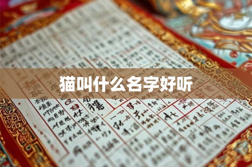 猫叫什么名字好听