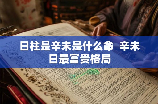 日柱是辛未是什么命  辛未日最富贵格局