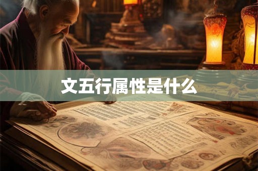 文五行属性是什么 文五行属性是什么