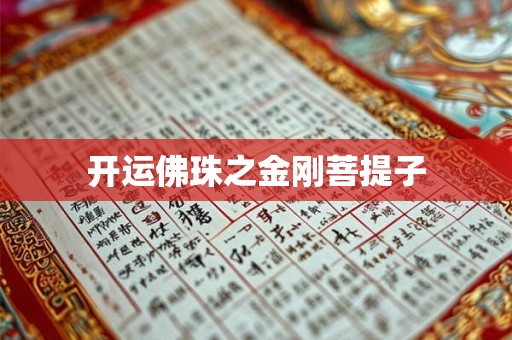 开运佛珠之金刚菩提子