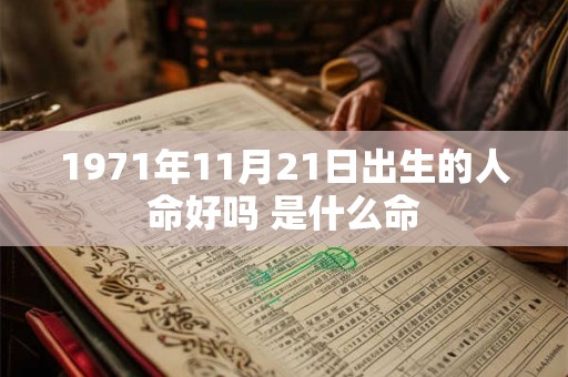 1971年11月21日出生的人命好吗 是什么命