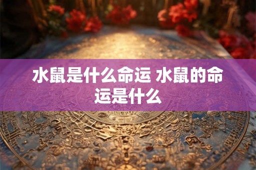 水鼠是什么命运 水鼠的命运是什么