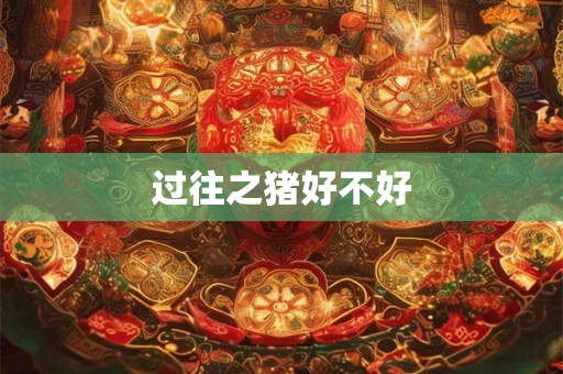 过往之猪好不好