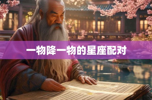 一物降一物的星座配对