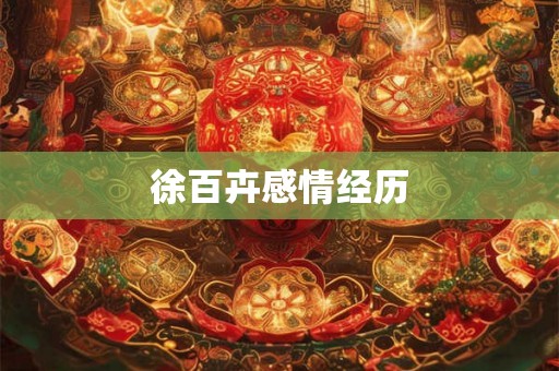 徐百卉感情经历