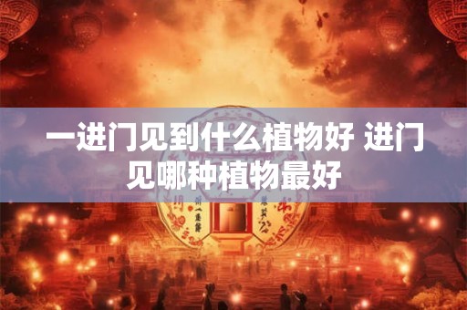 一进门见到什么植物好 进门见哪种植物最好
