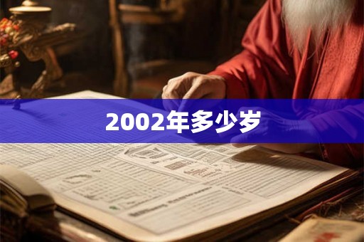 2002年多少岁