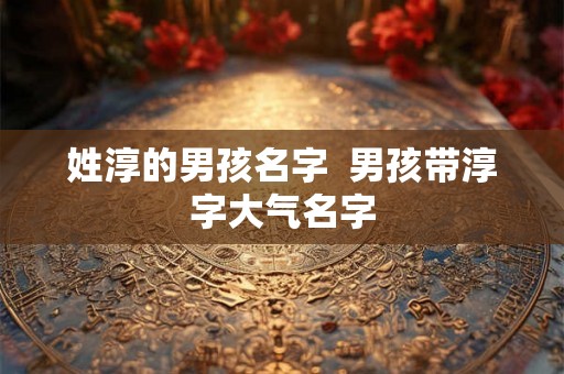 姓淳的男孩名字  男孩带淳字大气名字