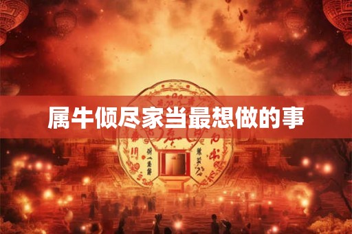 属牛倾尽家当最想做的事