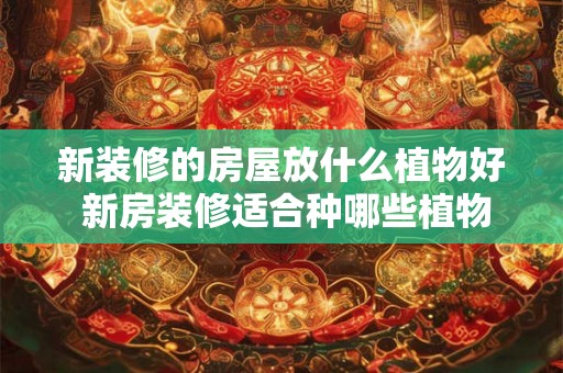 新装修的房屋放什么植物好 新房装修适合种哪些植物