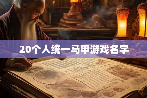 20个人统一马甲游戏名字