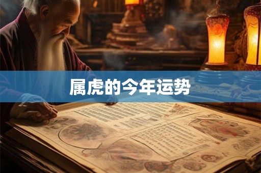 属虎的今年运势