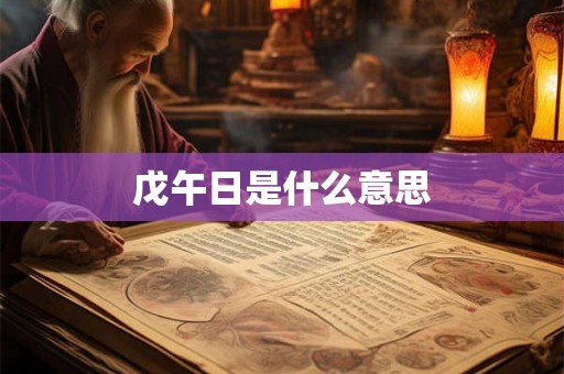戊午日是什么意思