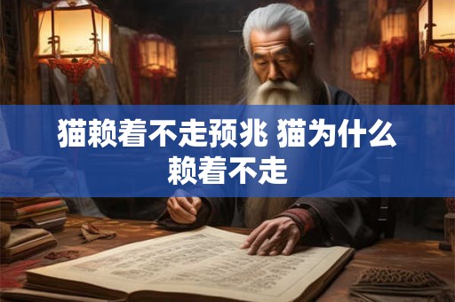 猫赖着不走预兆 猫为什么赖着不走