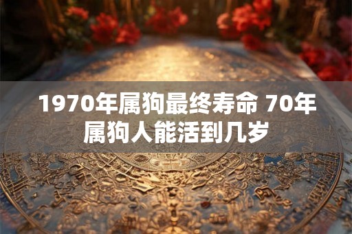 1970年属狗最终寿命 70年属狗人能活到几岁