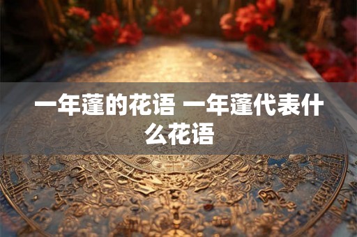 一年蓬的花语 一年蓬代表什么花语